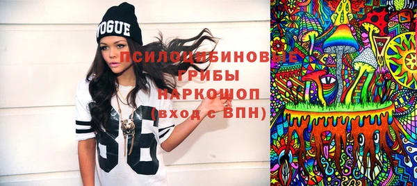 mdpv Белокуриха