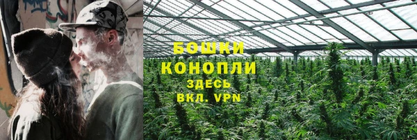 mdpv Белокуриха