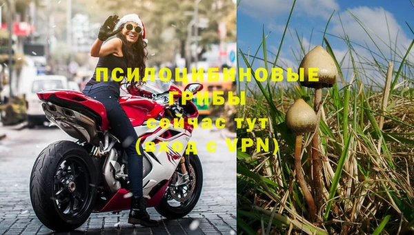 mdpv Белокуриха