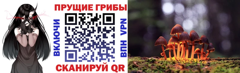 цены   Елизово  Галлюциногенные грибы GOLDEN TEACHER 