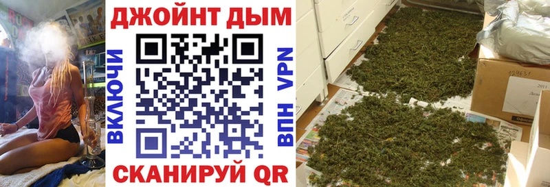 Бошки Шишки SATIVA & INDICA  как найти закладки  Елизово 